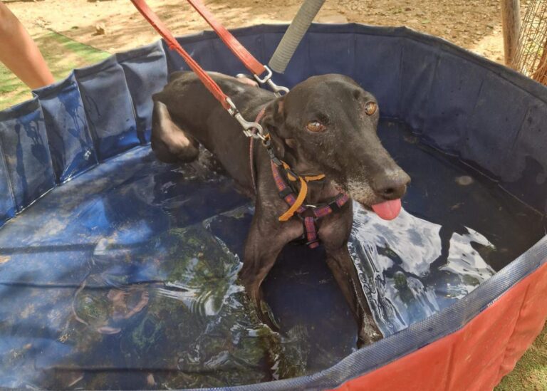 multimedia-foto92186-403-1