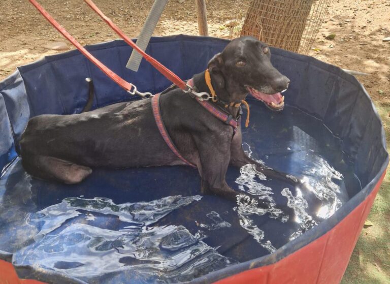 multimedia-foto92187-404-1