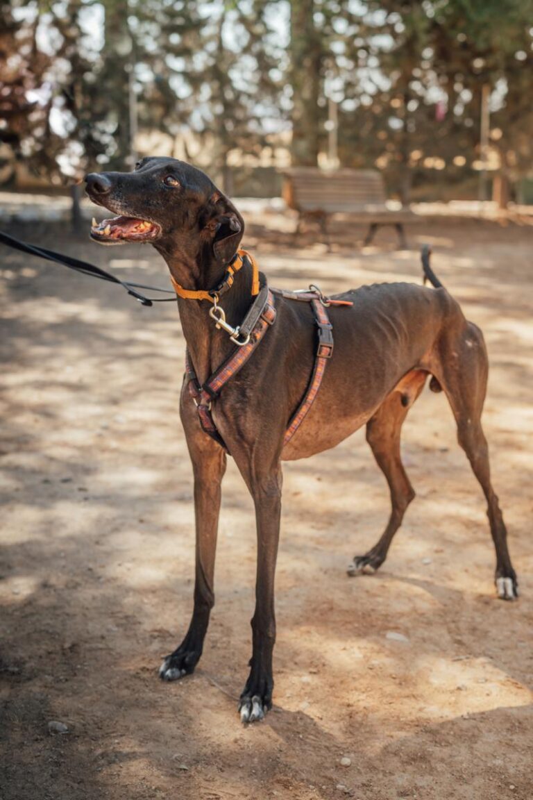 multimedia-foto92188-404-1