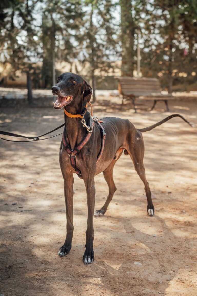 multimedia-foto92189-404-1