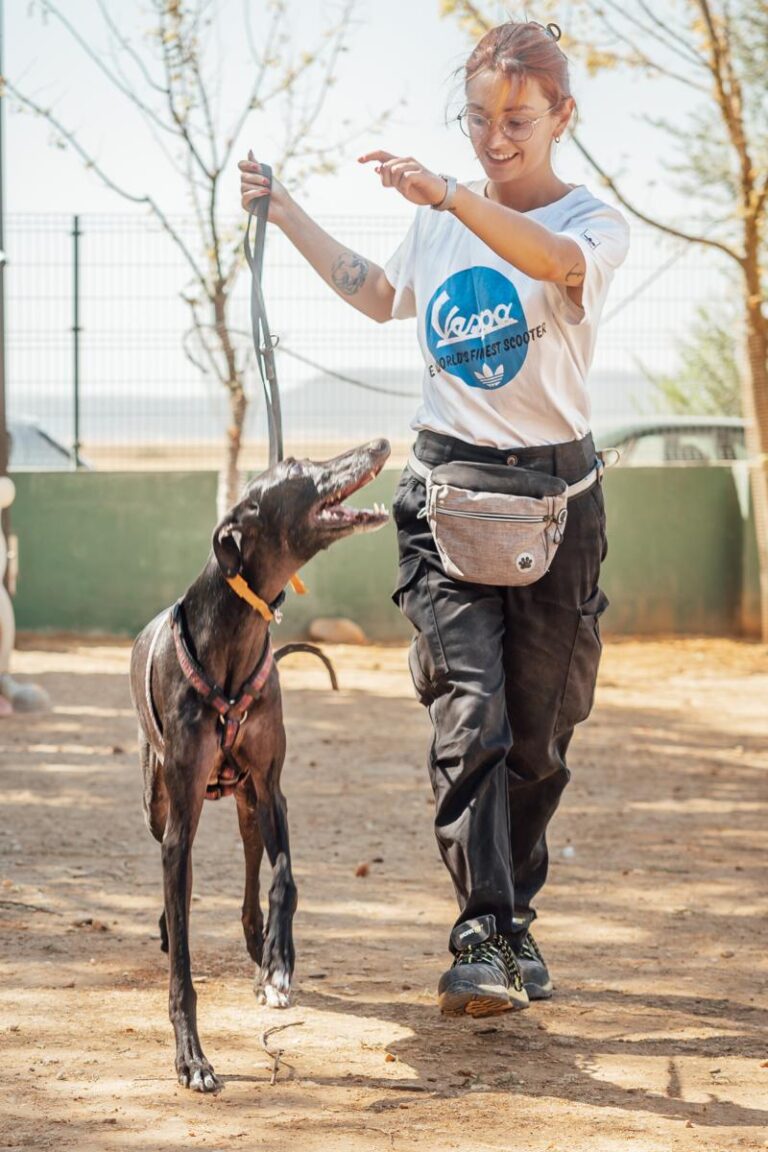 multimedia-foto92190-404-1