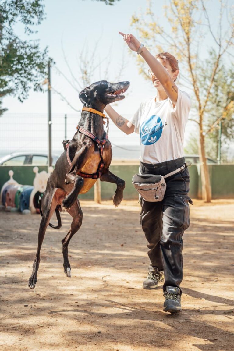 multimedia-foto92191-405-1