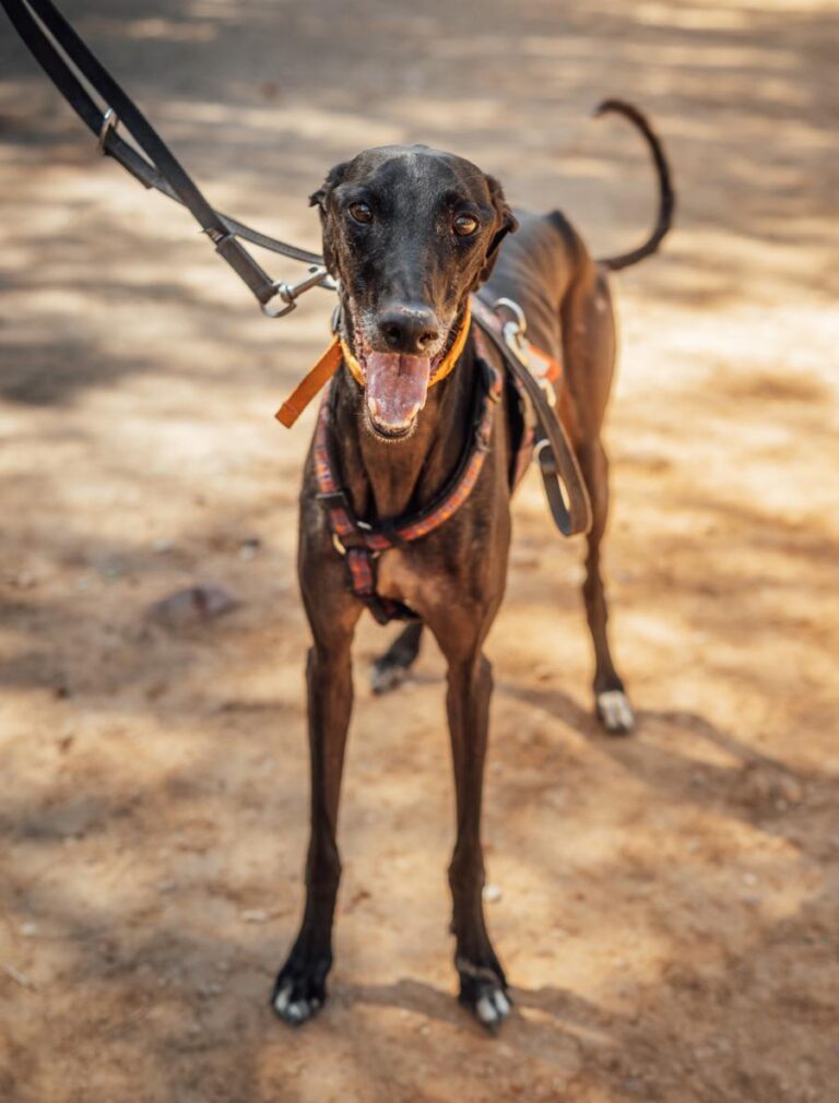 multimedia-foto92192-405-1