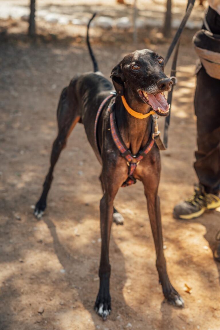 multimedia-foto92193-405-1