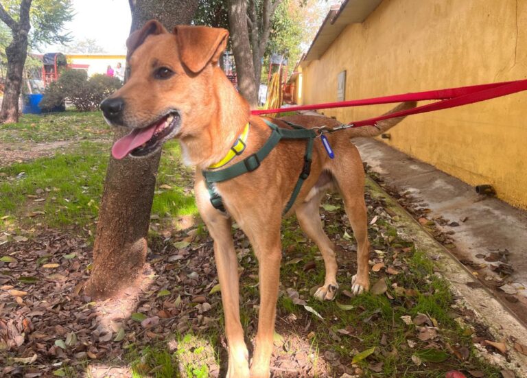 multimedia-foto92200-295-1