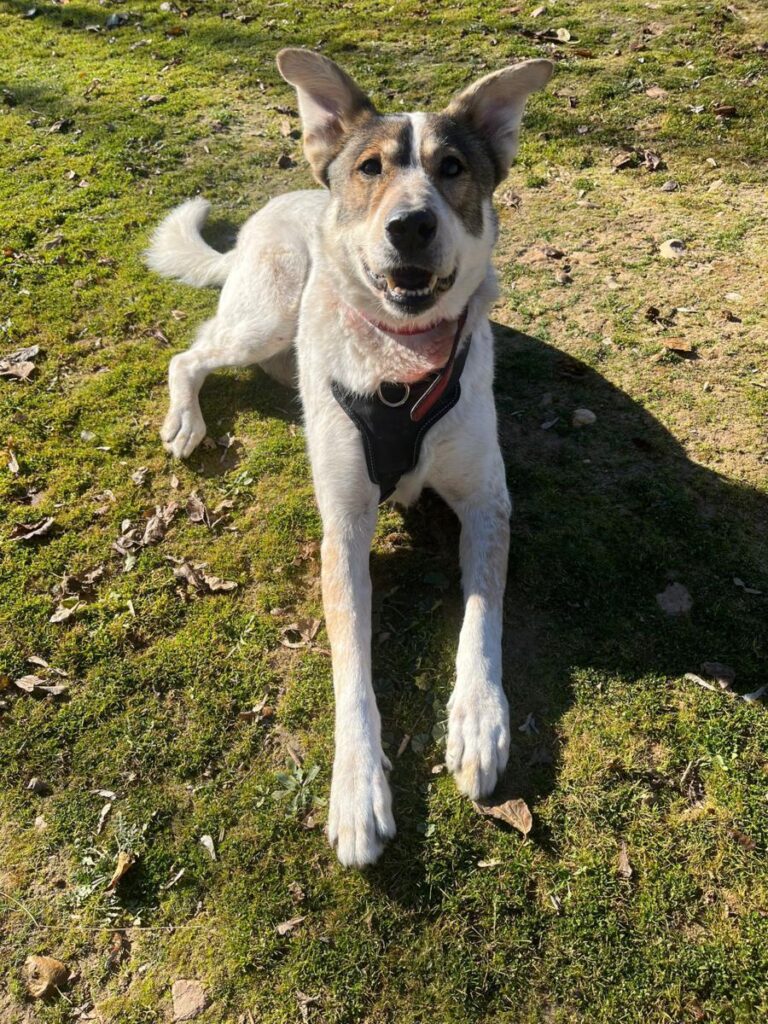 multimedia-foto92202-342-1