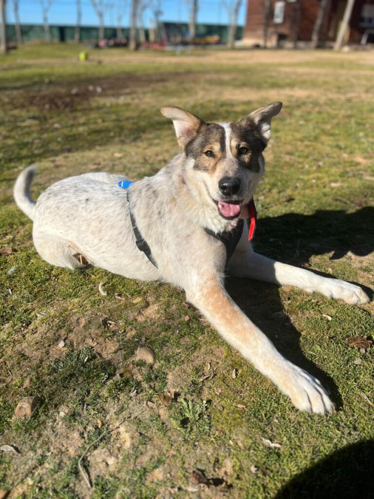 multimedia-foto92203-342-1