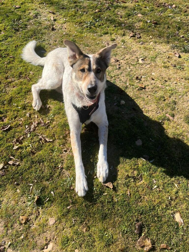 multimedia-foto92204-343-1