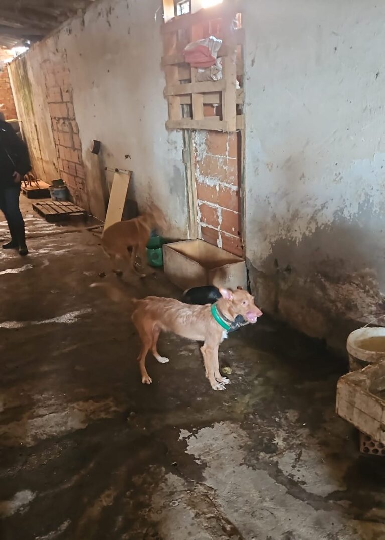 multimedia-foto92213-119-1