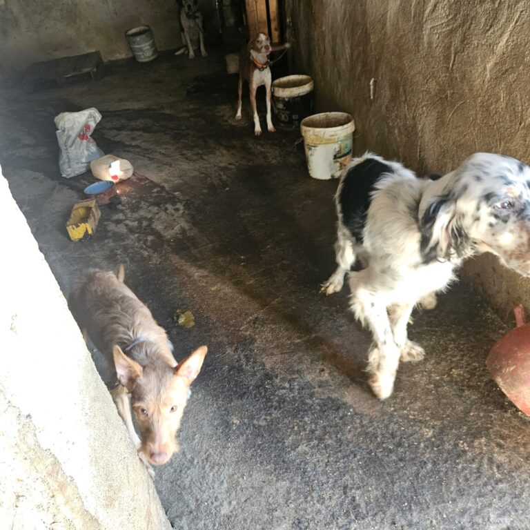 multimedia-foto92214-120-1