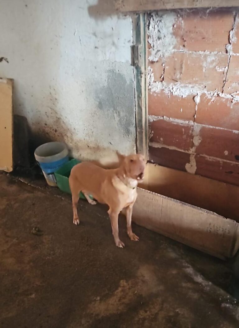 multimedia-foto92216-942-1