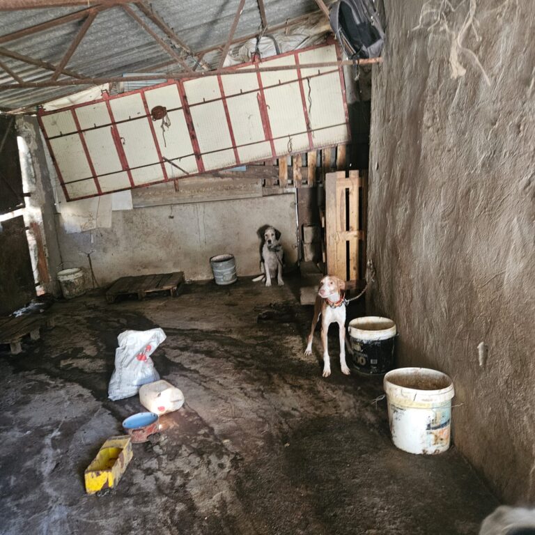 multimedia-foto92219-133-1