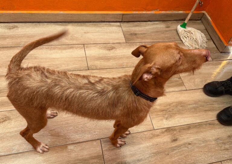 multimedia-foto92231-942-1