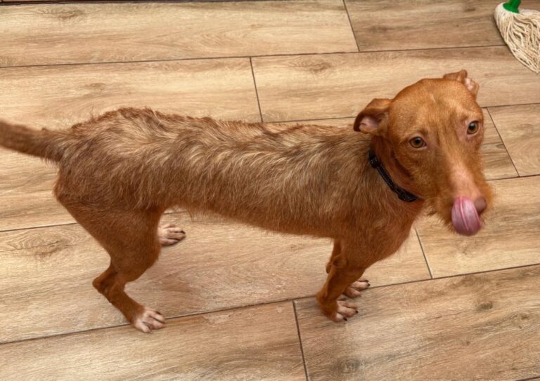 multimedia-foto92232-942-1