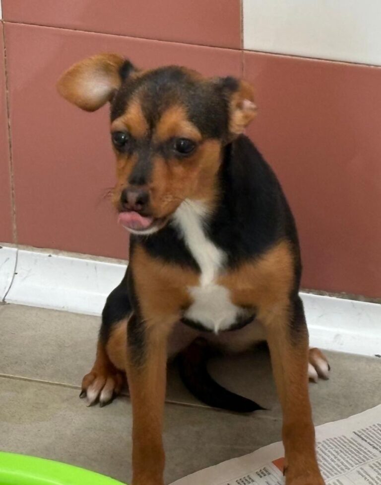 multimedia-foto92268-542-1