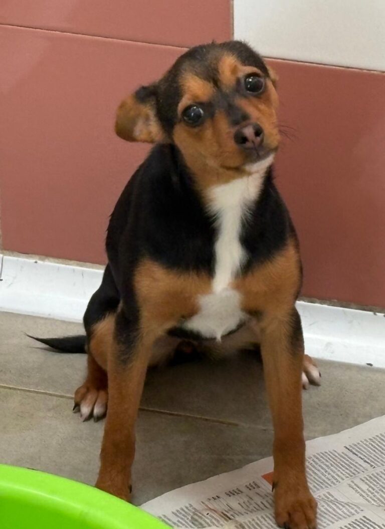 multimedia-foto92269-542-1