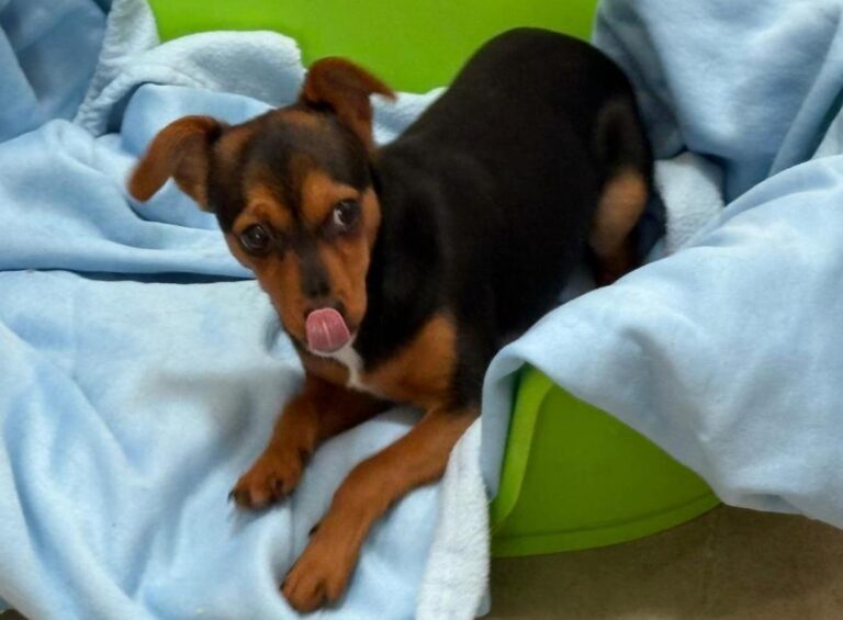 multimedia-foto92270-543-1