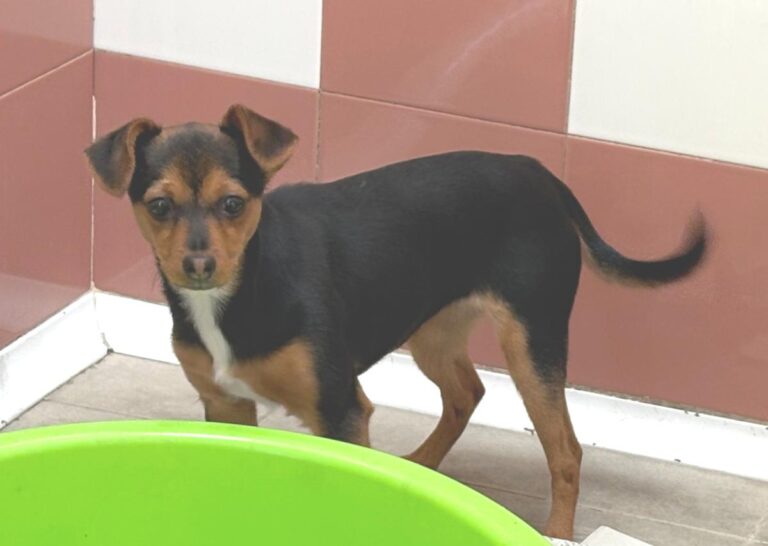 multimedia-foto92272-543-1