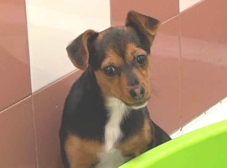 multimedia-foto92273-543-1