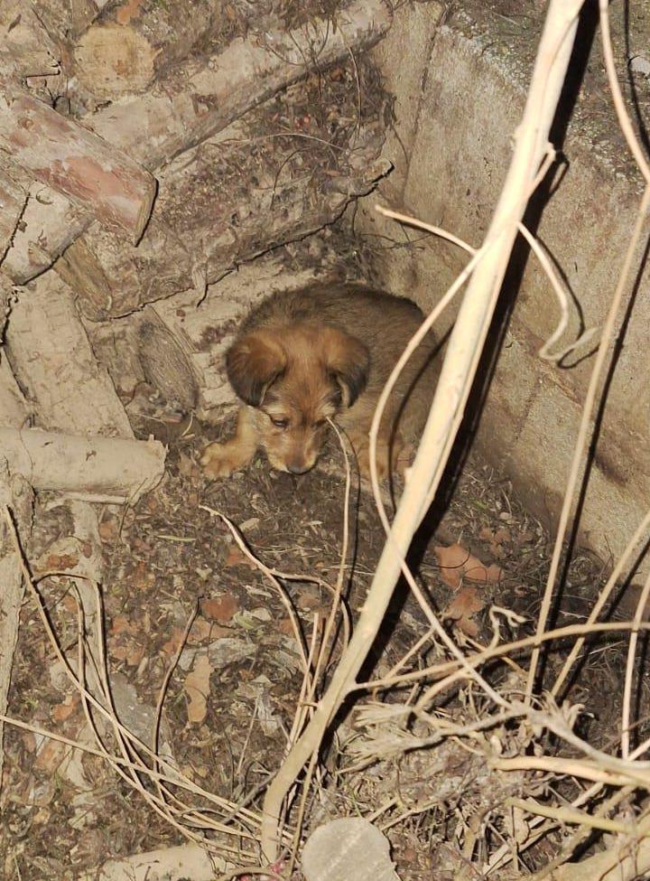 multimedia-foto92274-692-1