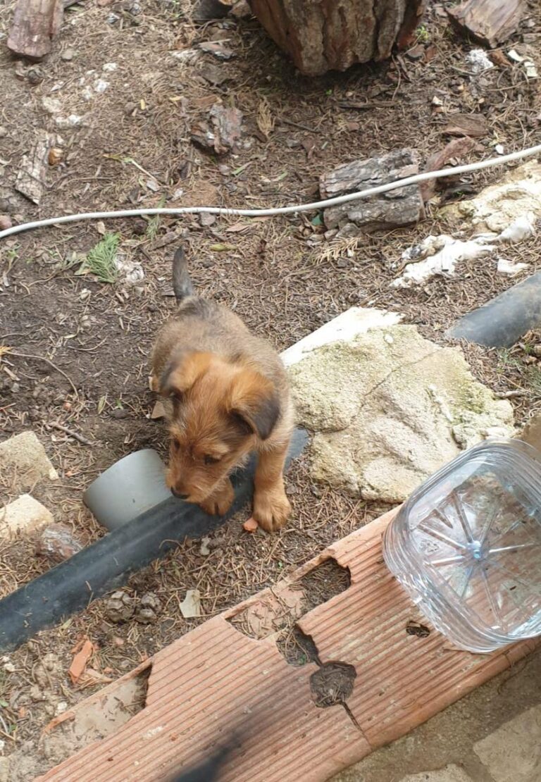 multimedia-foto92275-692-1