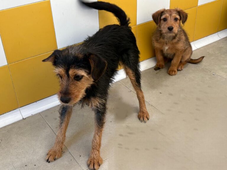 multimedia-foto92278-693-1