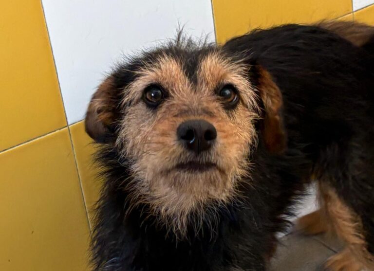 multimedia-foto92279-693-1