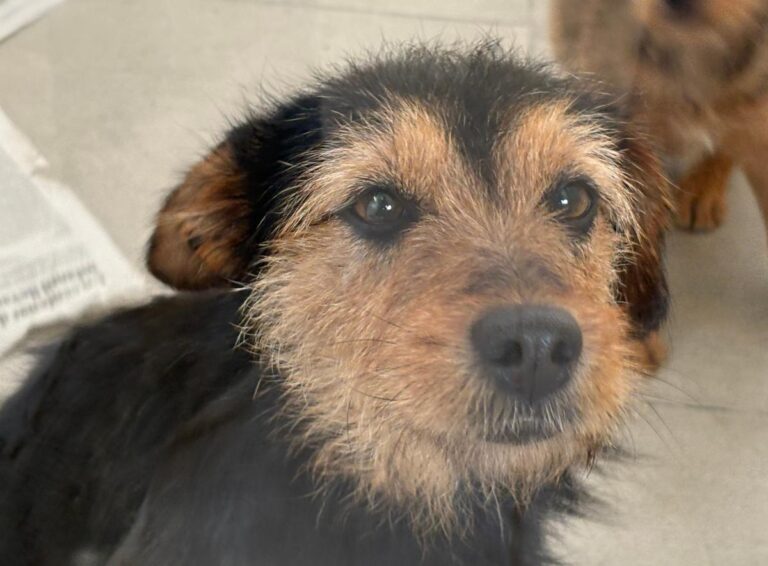 multimedia-foto92280-693-1