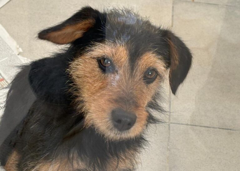 multimedia-foto92281-694-1