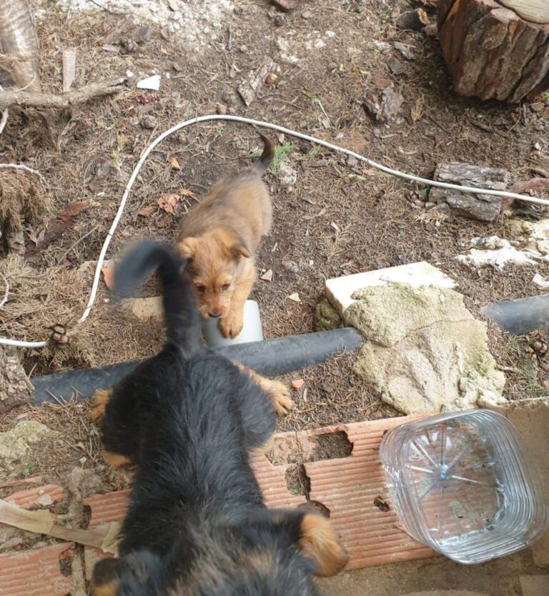 multimedia-foto92282-818-1