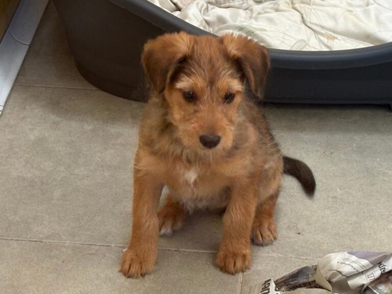 multimedia-foto92285-819-1