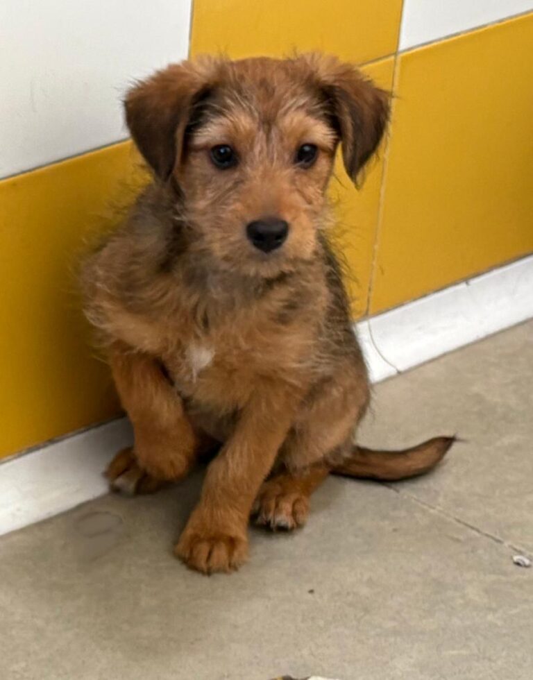 multimedia-foto92286-819-1