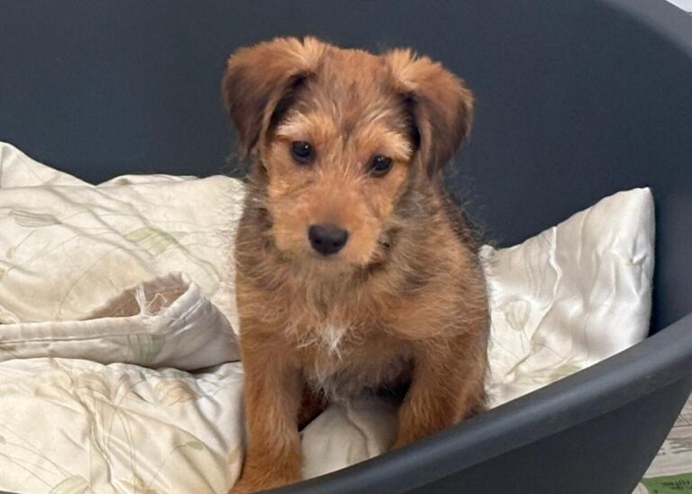 multimedia-foto92288-819-1