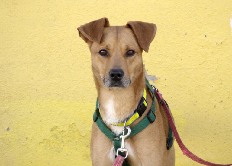 multimedia-foto92293-798-1