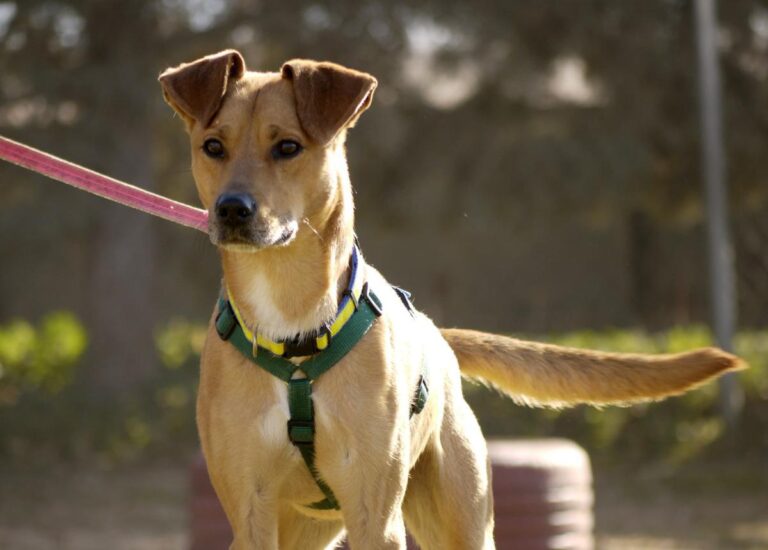 multimedia-foto92294-798-1