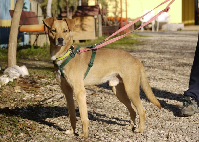 multimedia-foto92300-884-1