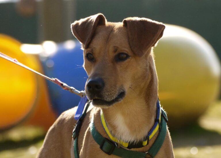 multimedia-foto92301-884-1