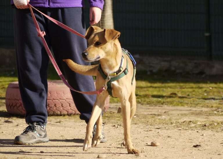 multimedia-foto92302-910-1