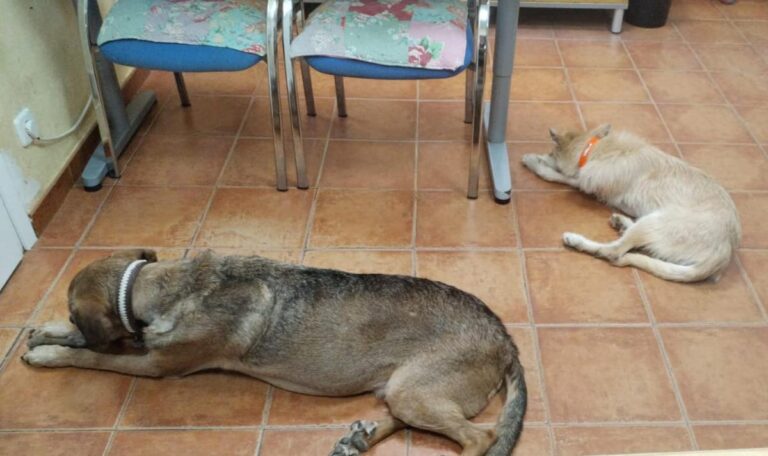 multimedia-foto92305-285-1