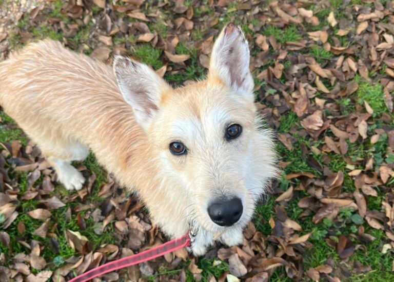 multimedia-foto92306-285-1