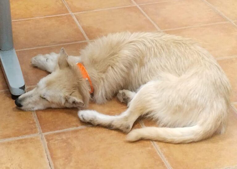 multimedia-foto92307-286-1