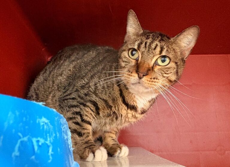 multimedia-foto92325-254-1