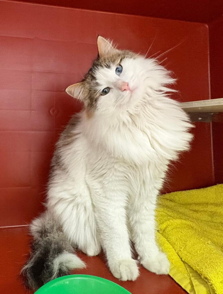 multimedia-foto92342-205-1