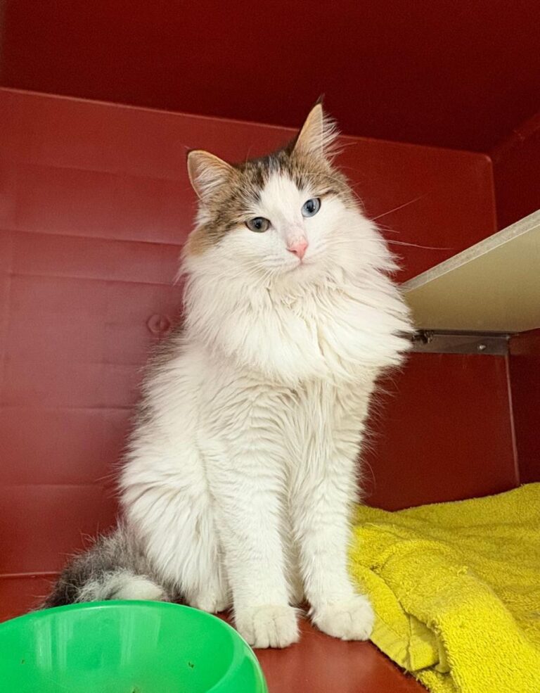 multimedia-foto92344-205-1