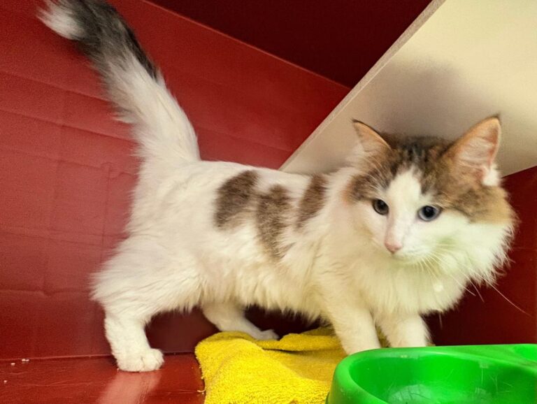 multimedia-foto92346-206-1