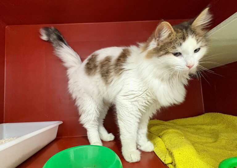 multimedia-foto92348-206-1