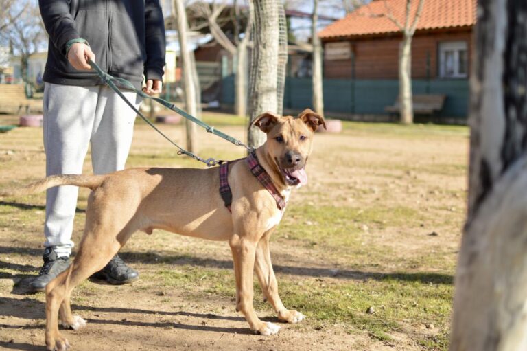 multimedia-foto92360-521-1