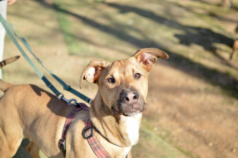 multimedia-foto92361-521-1