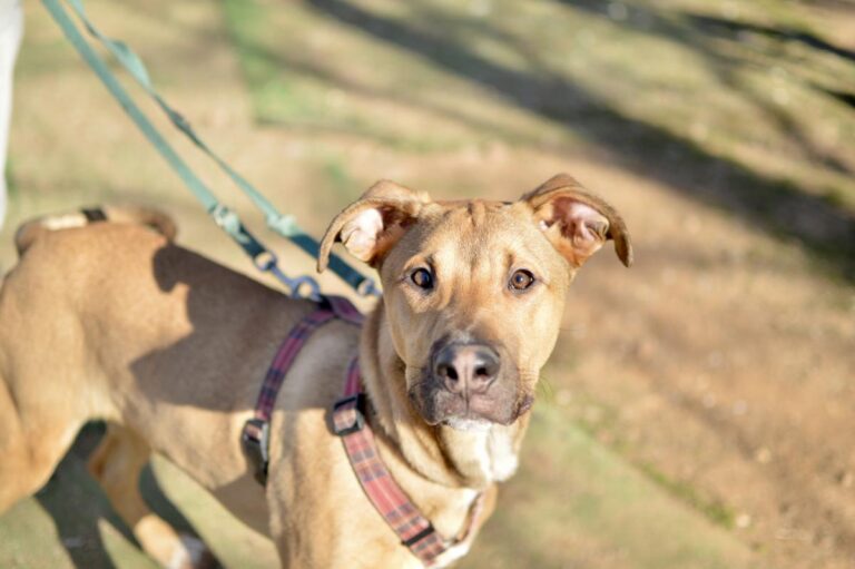 multimedia-foto92362-588-1