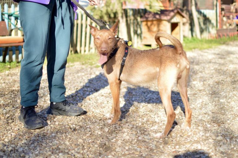 multimedia-foto92363-668-1